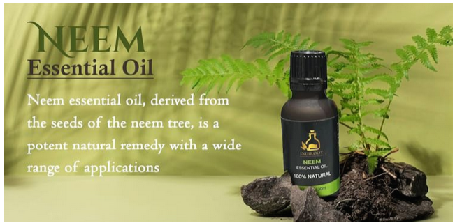 Camphor Oil